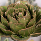 Ceramic Flower Collection 13 Caramel Flower - Chive UK Wholesale