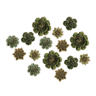Ceramic Flower Collection 13 Dark Green Flower - Chive UK Wholesale