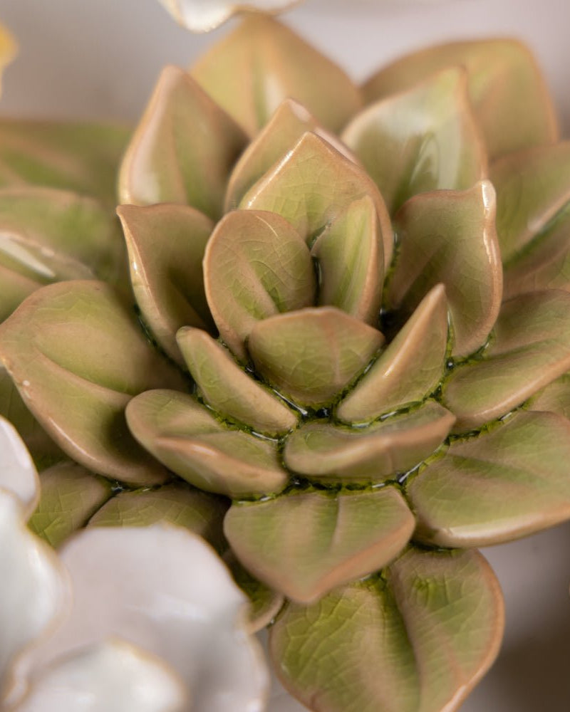 Ceramic Flower English Garden Curated Collection #5 - Chive UK Wholesale