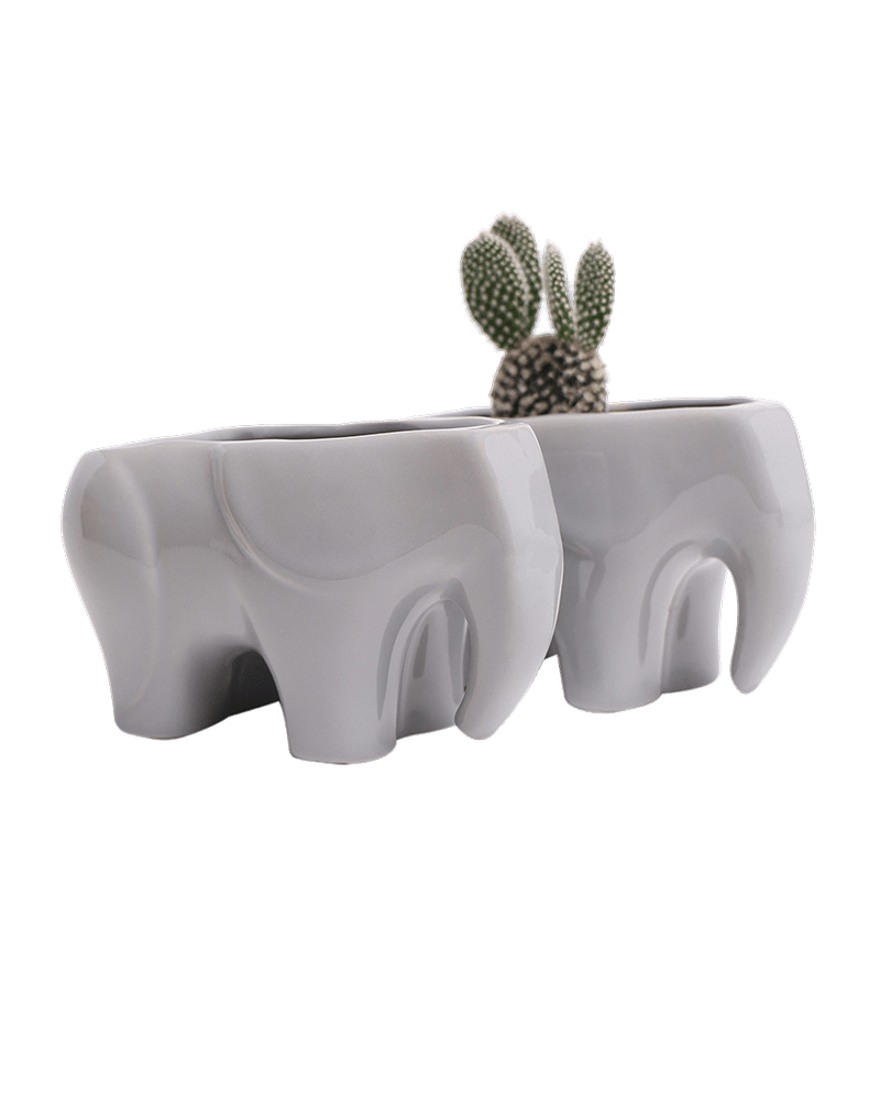 Elephant Ceramic Indoor Plant Pot Kit - Chive UK Wholesale