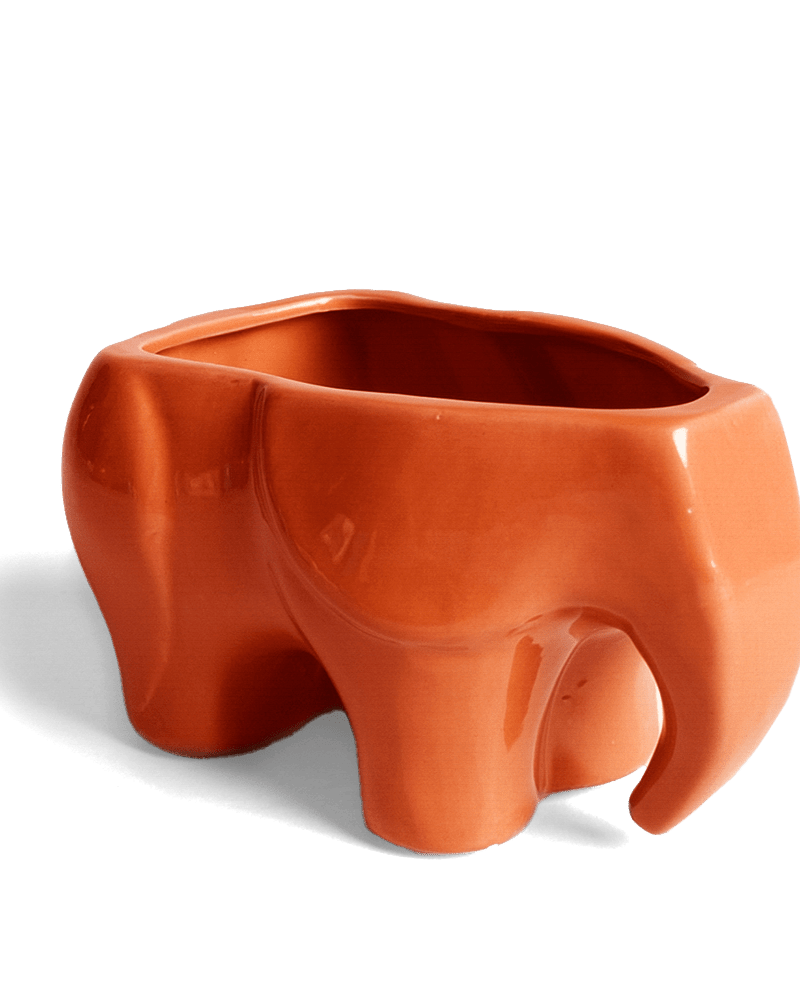 Elephant Ceramic Indoor Plant Pot Kit - Chive UK Wholesale