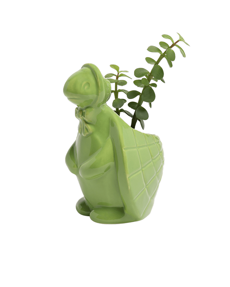 Turtle Ceramic Indoor Plant Pot For Succulents - Chive UK Wholesale
