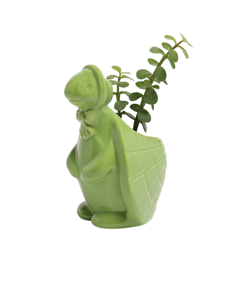 Turtle Ceramic Indoor Plant Pot For Succulents - Chive UK Wholesale