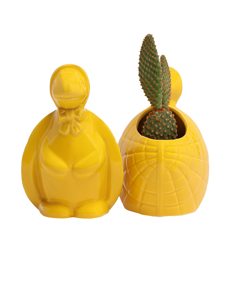 Turtle Ceramic Indoor Plant Pot For Succulents - Chive UK Wholesale
