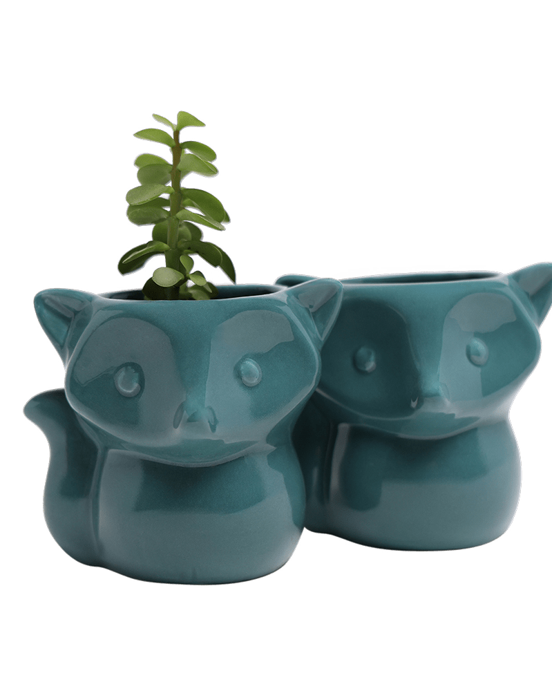 Fox Ceramic Indoor Plant Pot For Succulents - Chive UK Wholesale