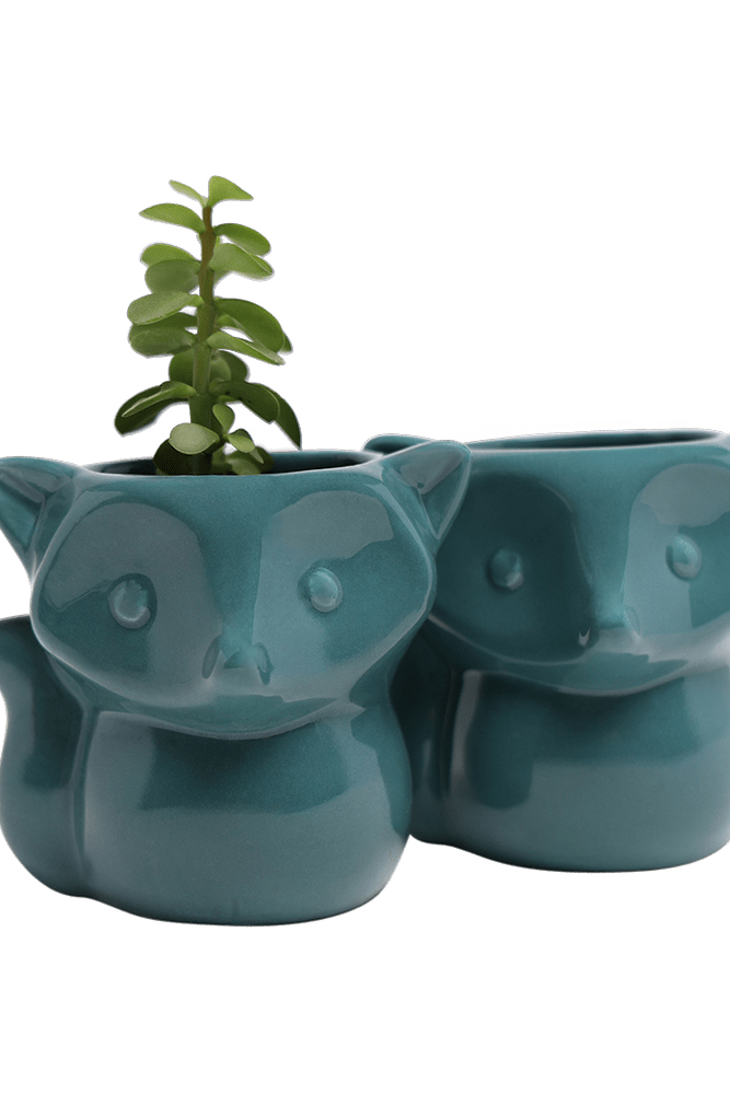 Fox Ceramic Indoor Plant Pot For Succulents - Chive UK Wholesale