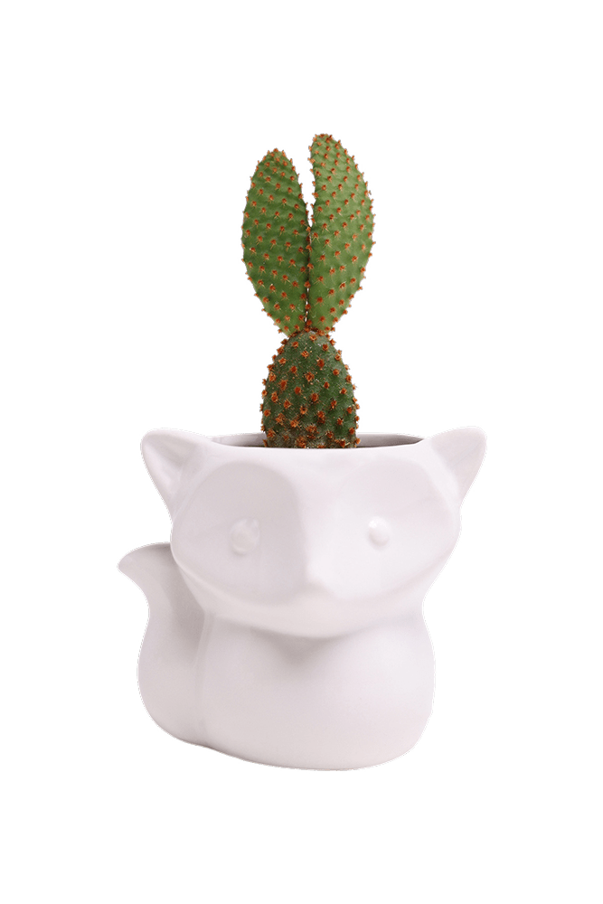 Fox Ceramic Indoor Plant Pot For Succulents - Chive UK Wholesale