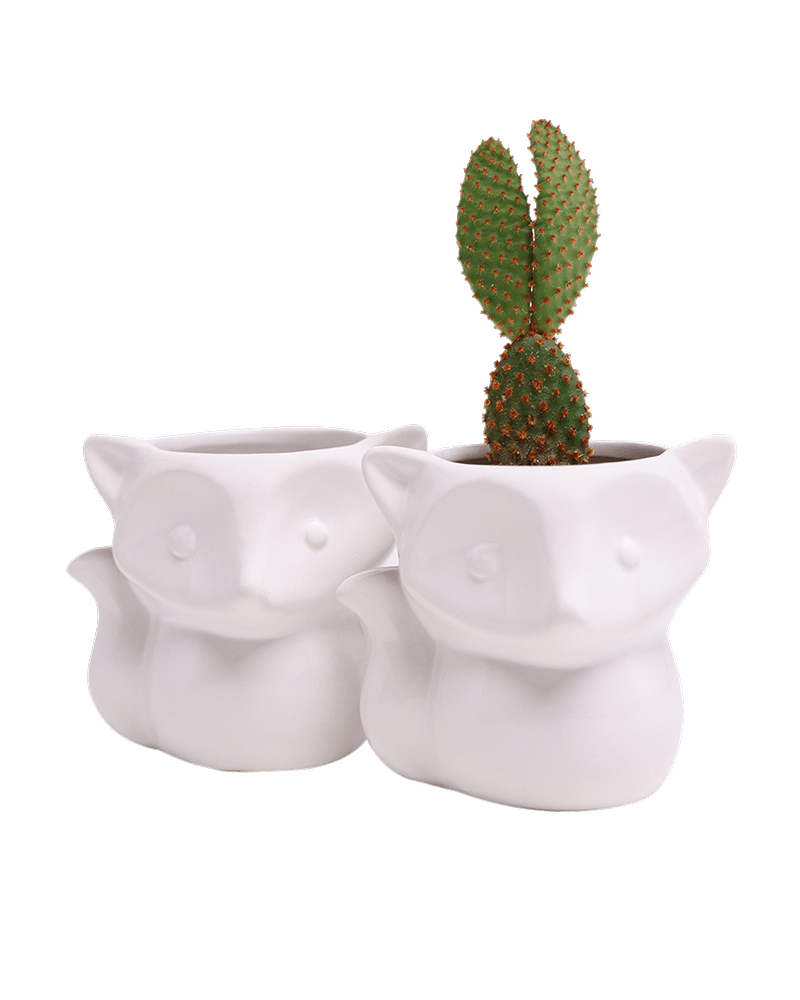 Fox Ceramic Indoor Plant Pot For Succulents - Chive UK Wholesale