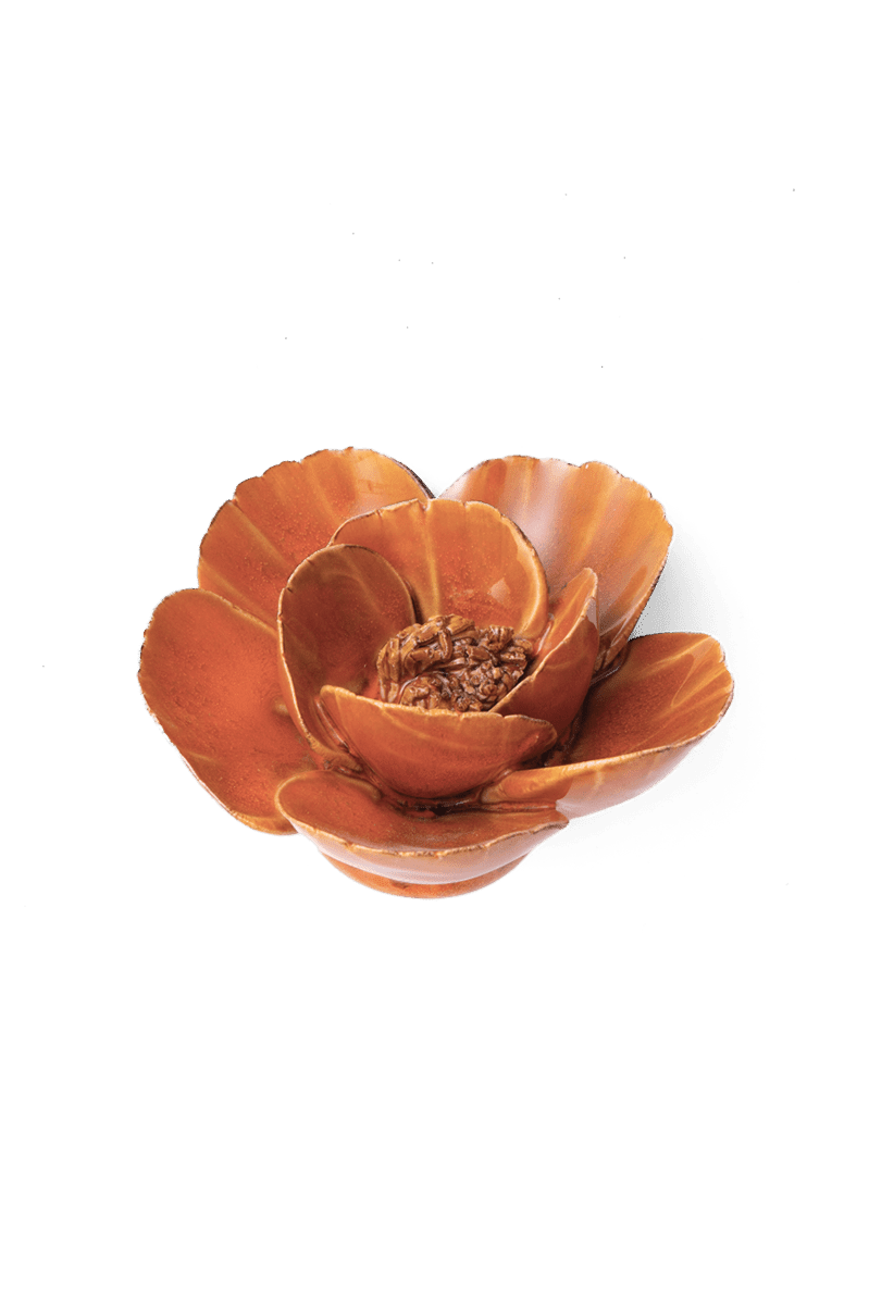FR08 Burnt Orange Poppy - Chive UK Wholesale
