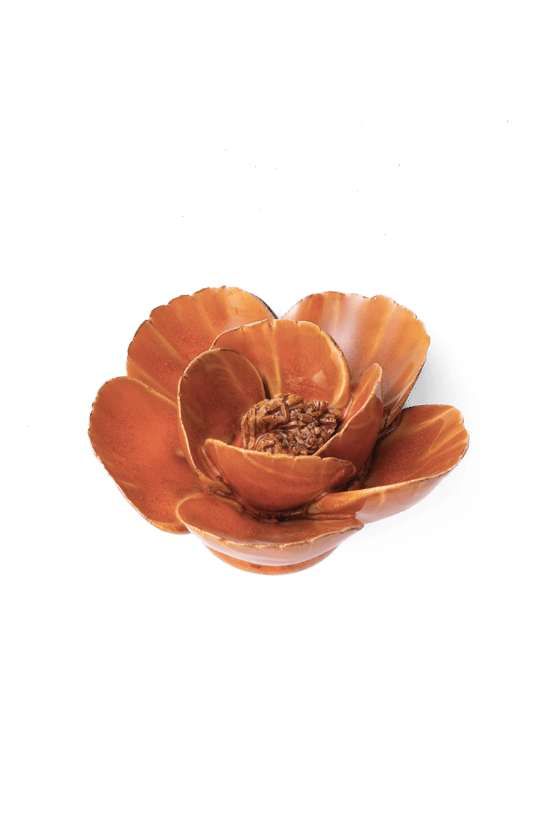 FR08 Burnt Orange Poppy - Chive UK Wholesale
