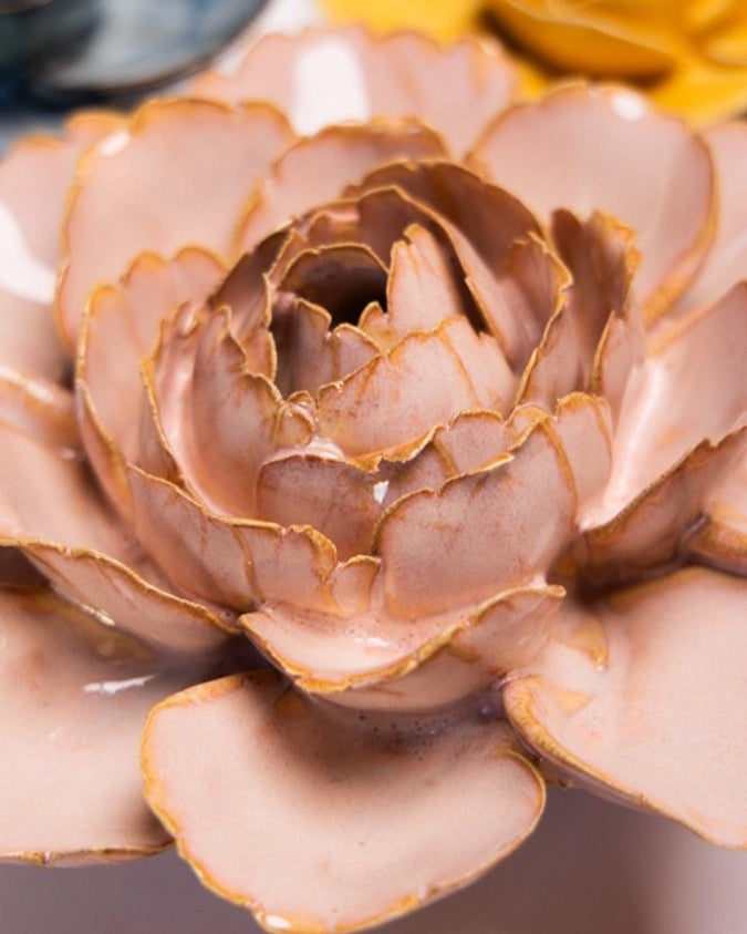 FR01 Rose Pink Camellia - Chive UK Wholesale