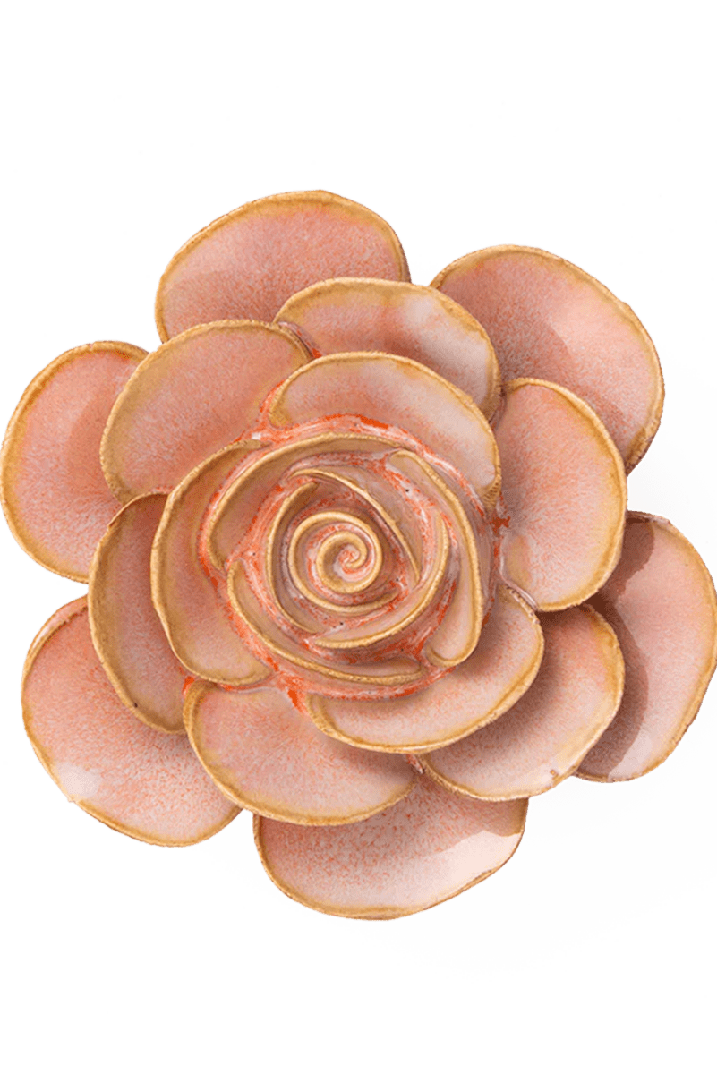 FR02 Peach Pink Cloni Ranunculus - Chive UK Wholesale
