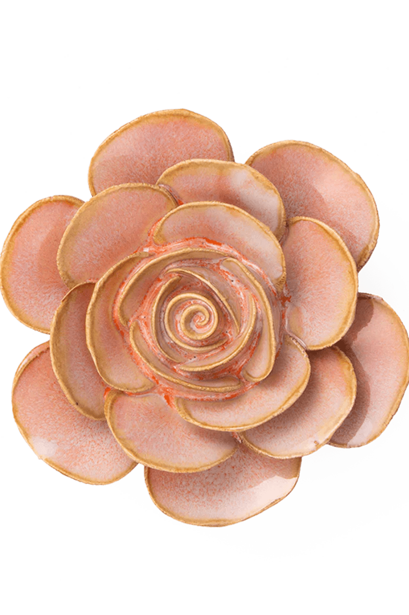 FR02 Peach Pink Cloni Ranunculus - Chive UK Wholesale