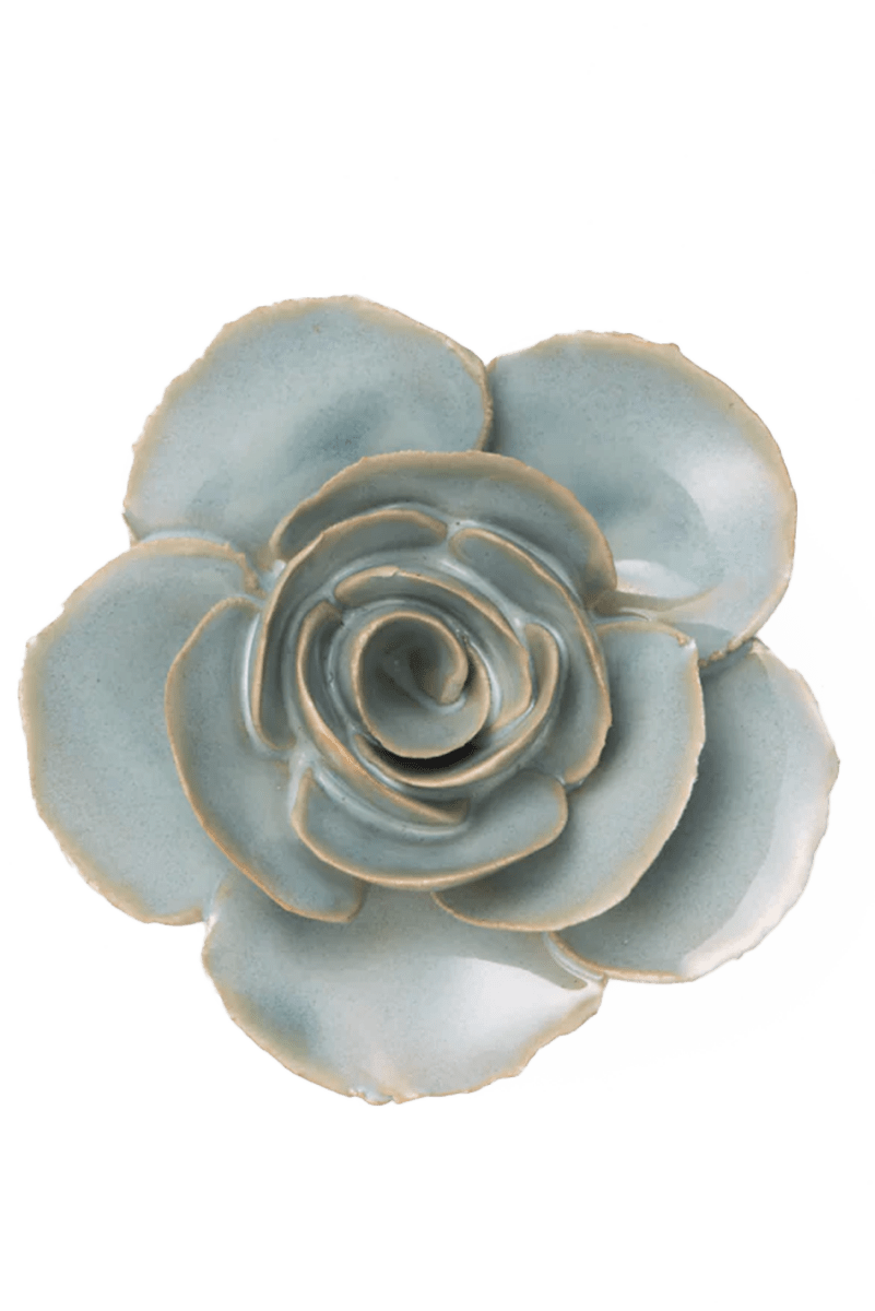 FR04 Milk Teal Elegance Ranunculus - Chive UK Wholesale