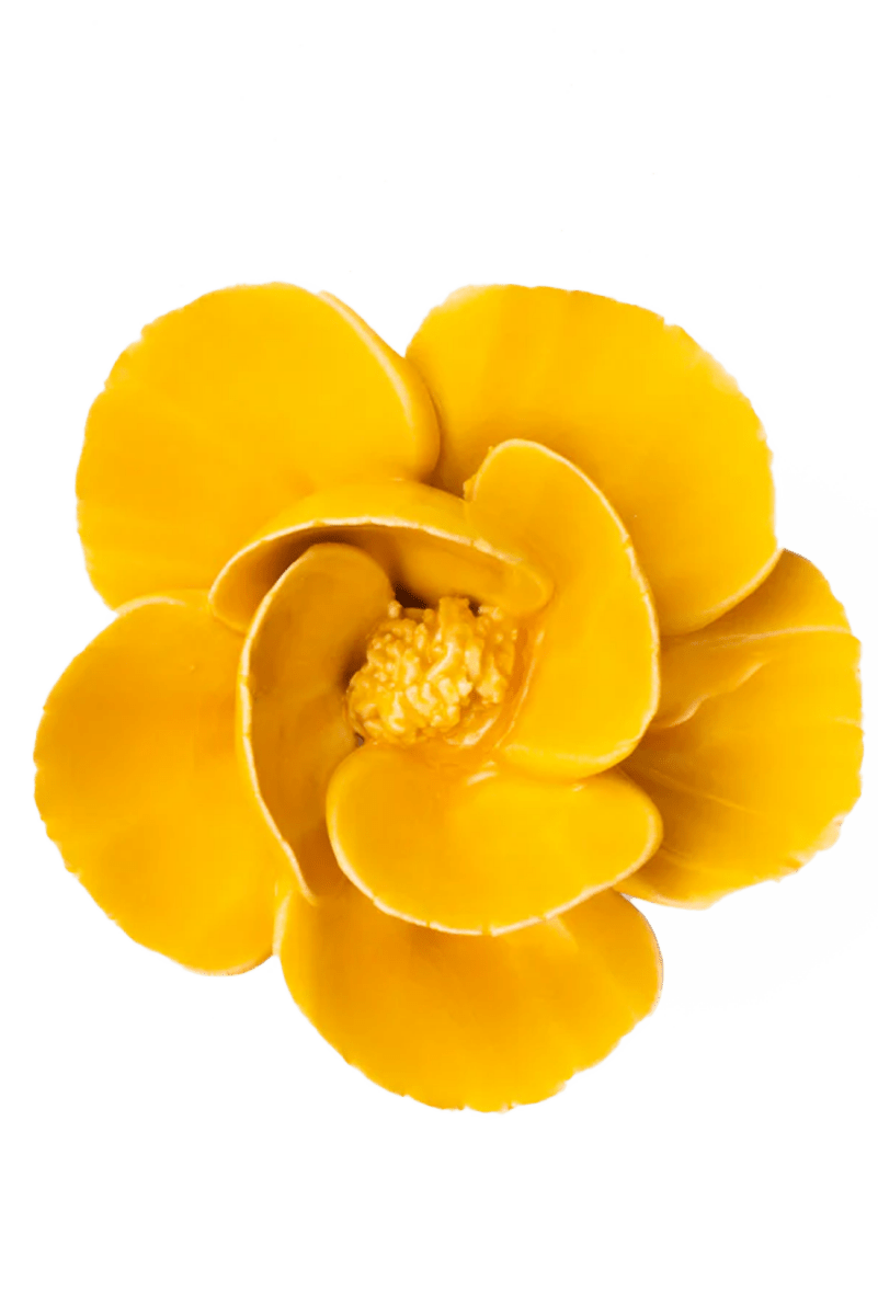 FR06 Burnt Yellow Poppy - Chive UK Wholesale