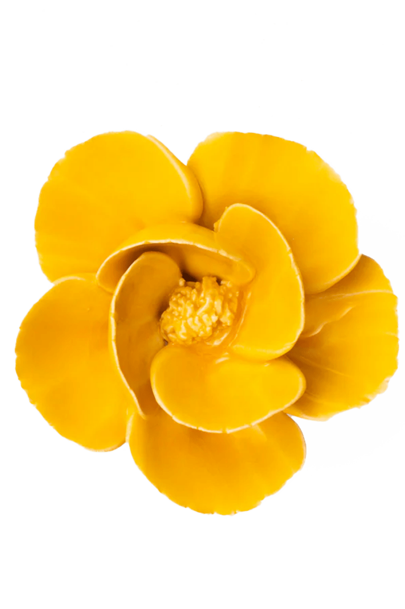 FR06 Burnt Yellow Poppy - Chive UK Wholesale