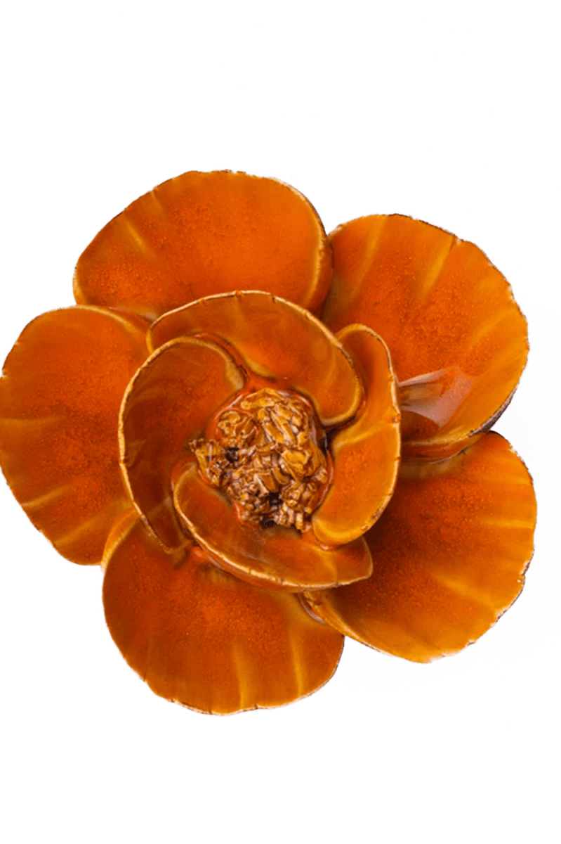 FR08 Burnt Orange Poppy - Chive UK Wholesale