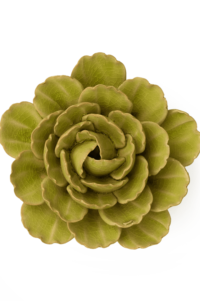 FR12 Peridot Keiko Peony - Chive UK Wholesale
