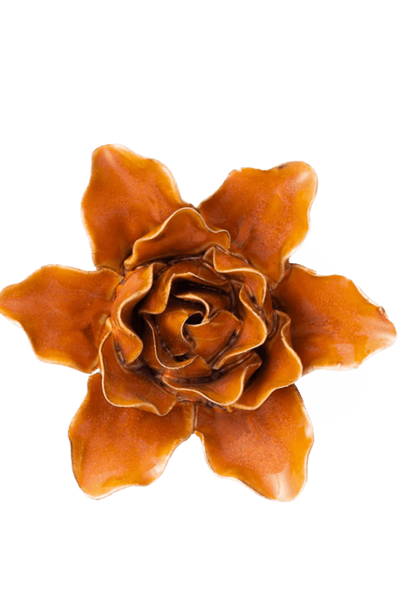 FR13 Burnt Orange Stargazer Lily - Chive UK Wholesale