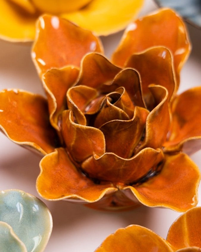 FR13 Burnt Orange Stargazer Lily - Chive UK Wholesale