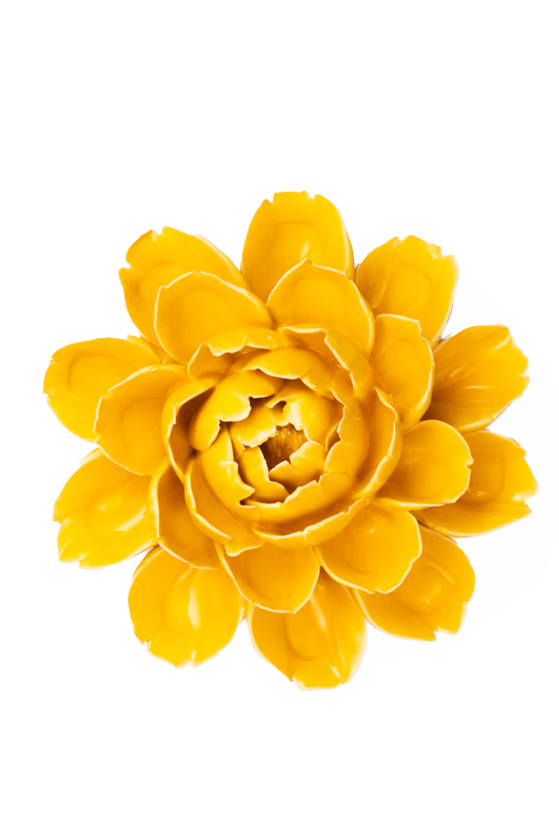 FR14 Burnt Yellow Empire Cabbage Flower - Chive UK Wholesale