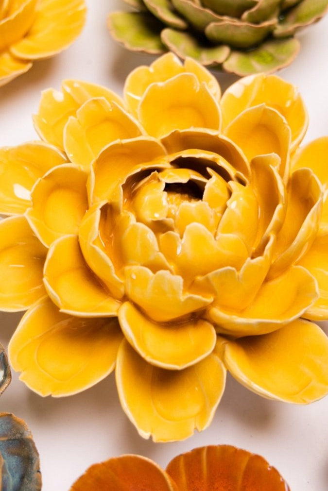 FR14 Burnt Yellow Empire Cabbage Flower - Chive UK Wholesale