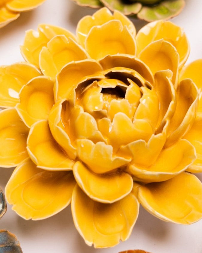 FR14 Burnt Yellow Empire Cabbage Flower - Chive UK Wholesale