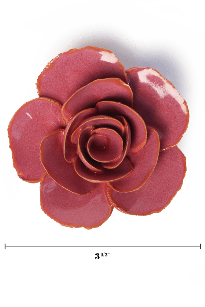 France Blush Pink Elegance Ranunculus - Chive UK Wholesale