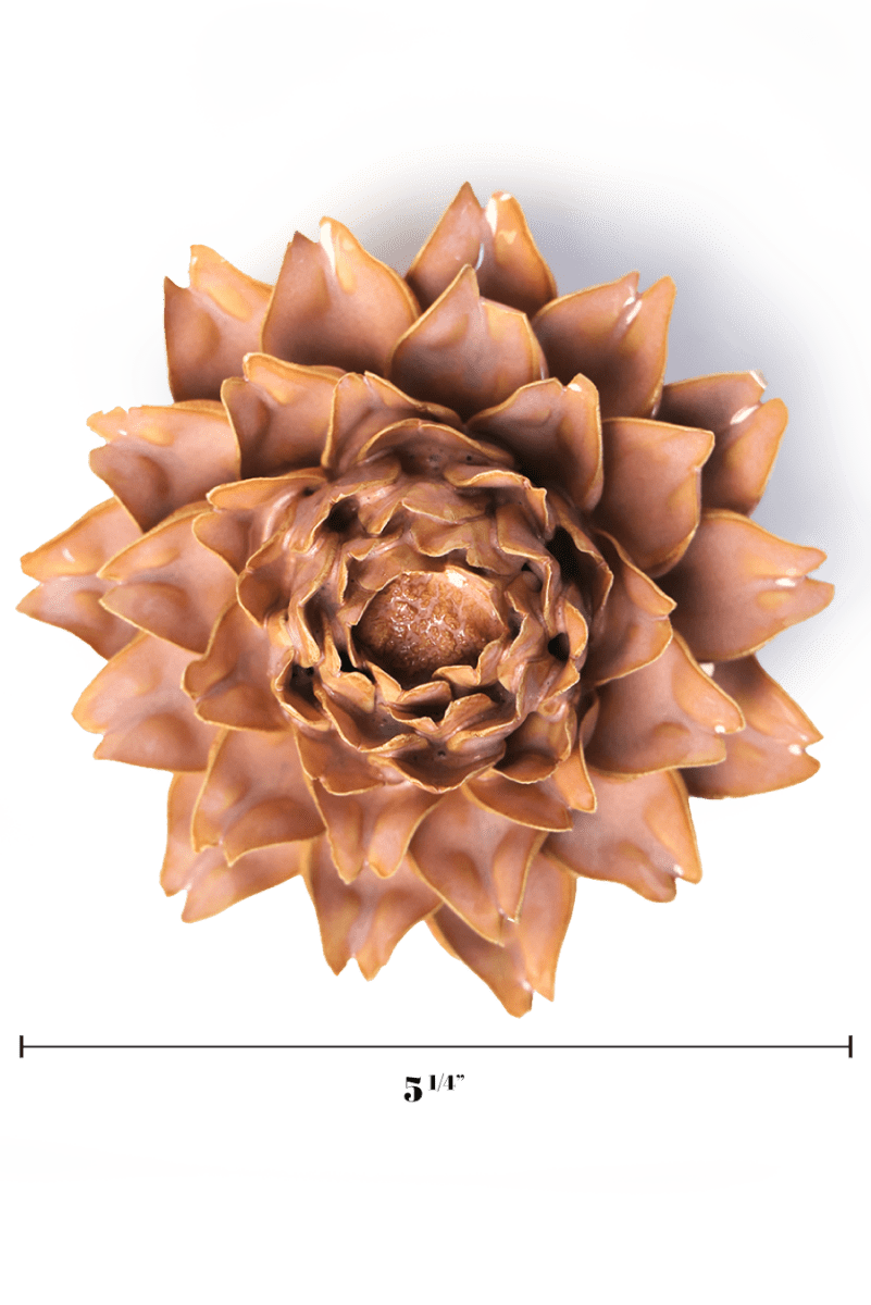 France Rose Pink King Protea - Chive UK Wholesale