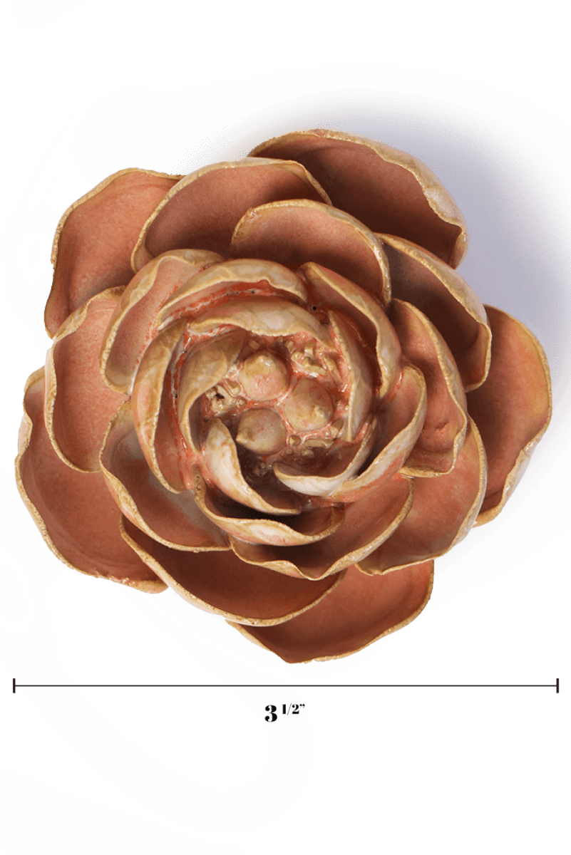 France Peach Pink Big Ben Peony - Chive UK Wholesale
