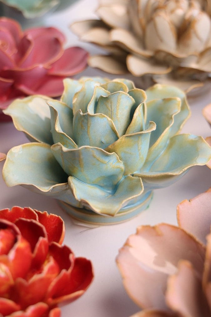 France Robin's Egg Blue Stargazer Lily - Chive UK Wholesale