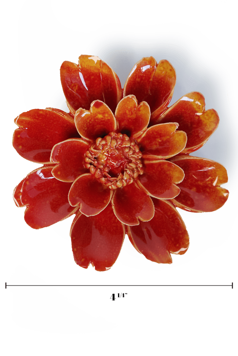 France Orange Yellow Paris Daisy - Chive UK Wholesale