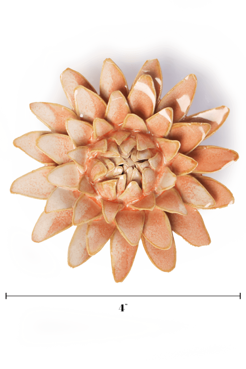 France Peach Pink Strawflower - Chive UK Wholesale