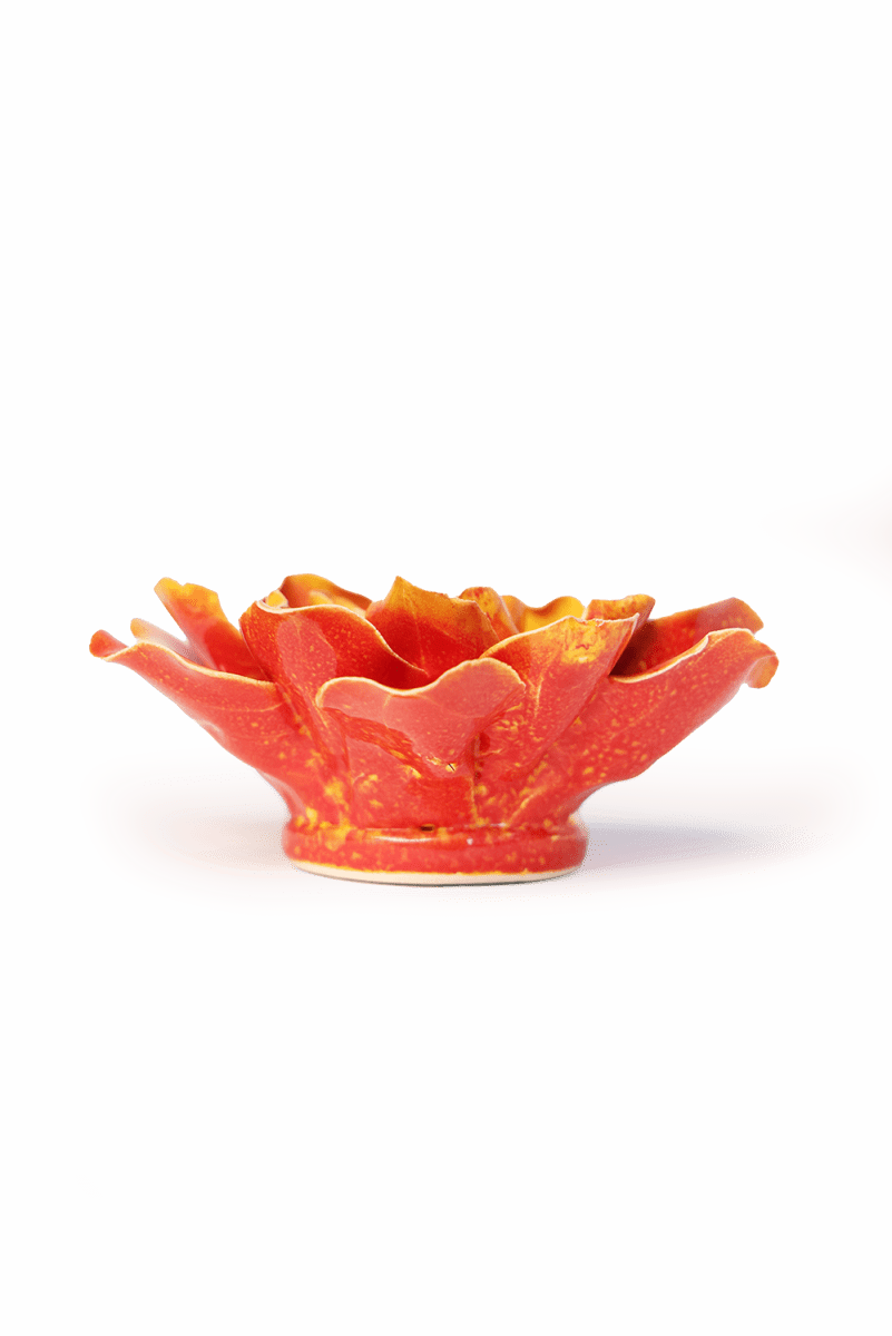 France Orange Yellow Coreopsis - Chive UK Wholesale