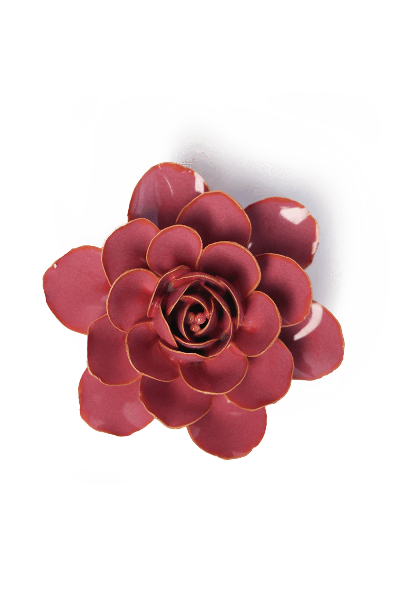 France Blush Pink Begonia - Chive UK Wholesale