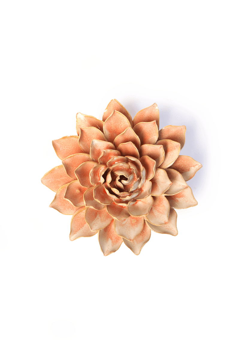 France Peach Pink Madonna Azalea - Chive UK Wholesale