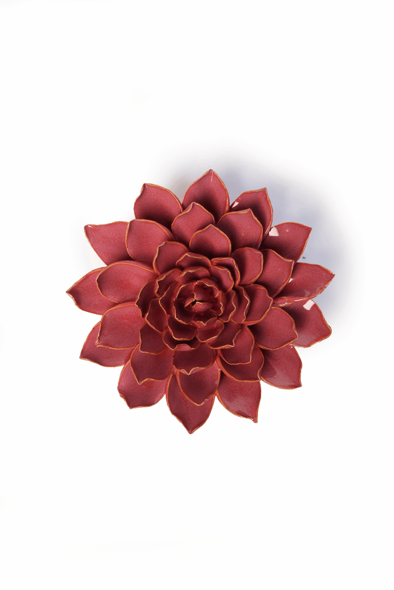 France Blush Pink Madonna Azalea - Chive UK Wholesale