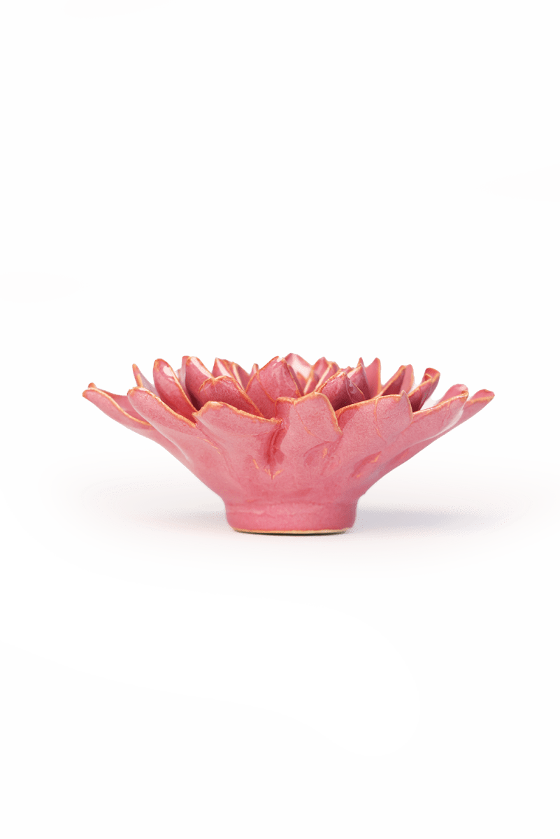 France Blush Pink Madonna Azalea - Chive UK Wholesale