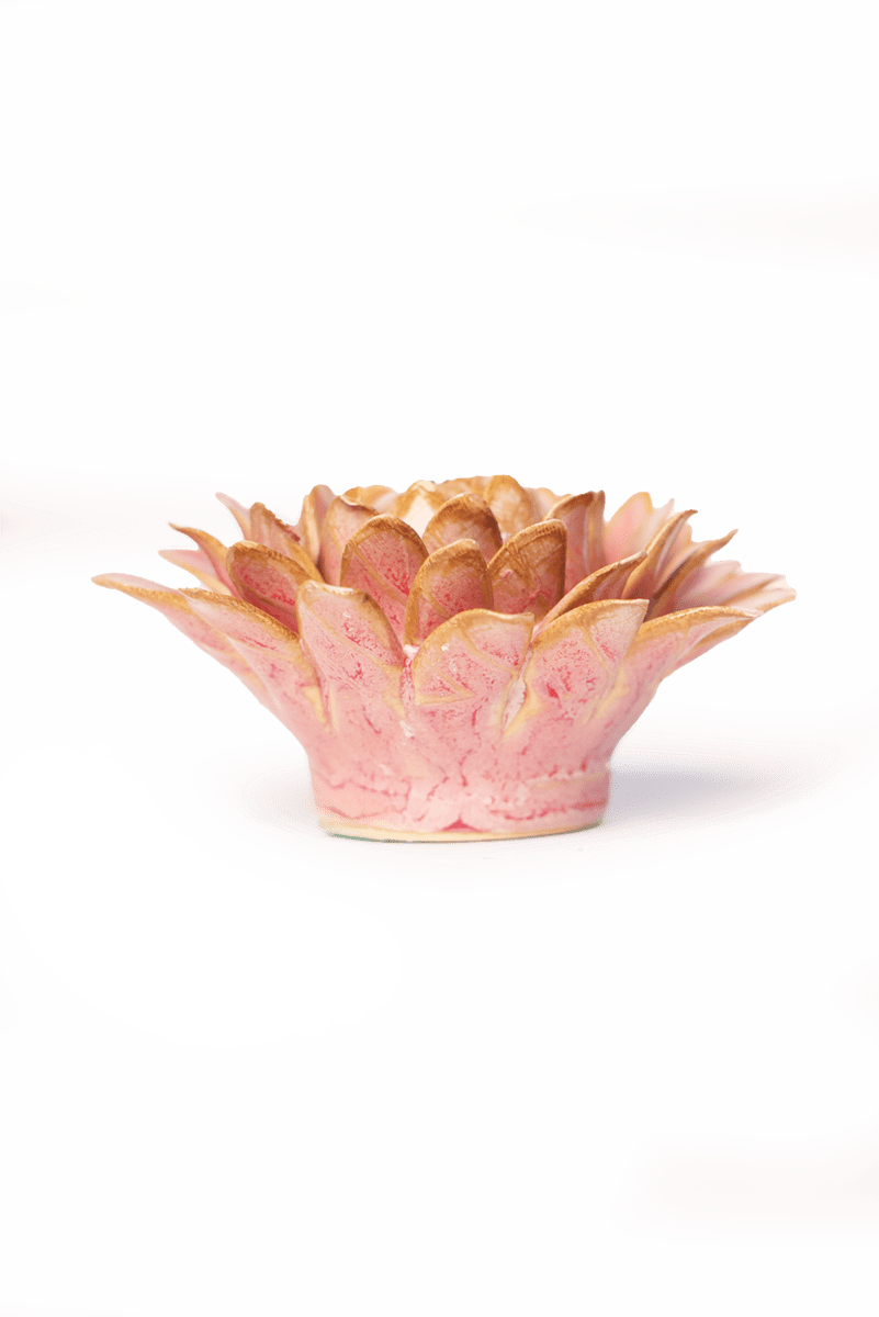 France Rose Quartz Pink Strawflower - Chive UK Wholesale