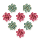 Ceramic Flower France Curated Collection #11 - Chive UK Wholesale