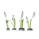 Kenzan Metal Floral Frogs For Ikebana - Chive UK Wholesale