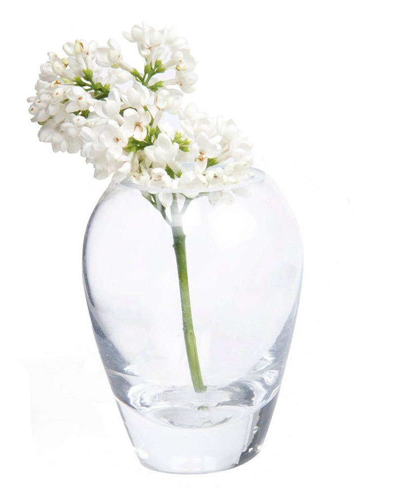 George Glass Clear Bud Vase Kit - Chive UK Wholesale