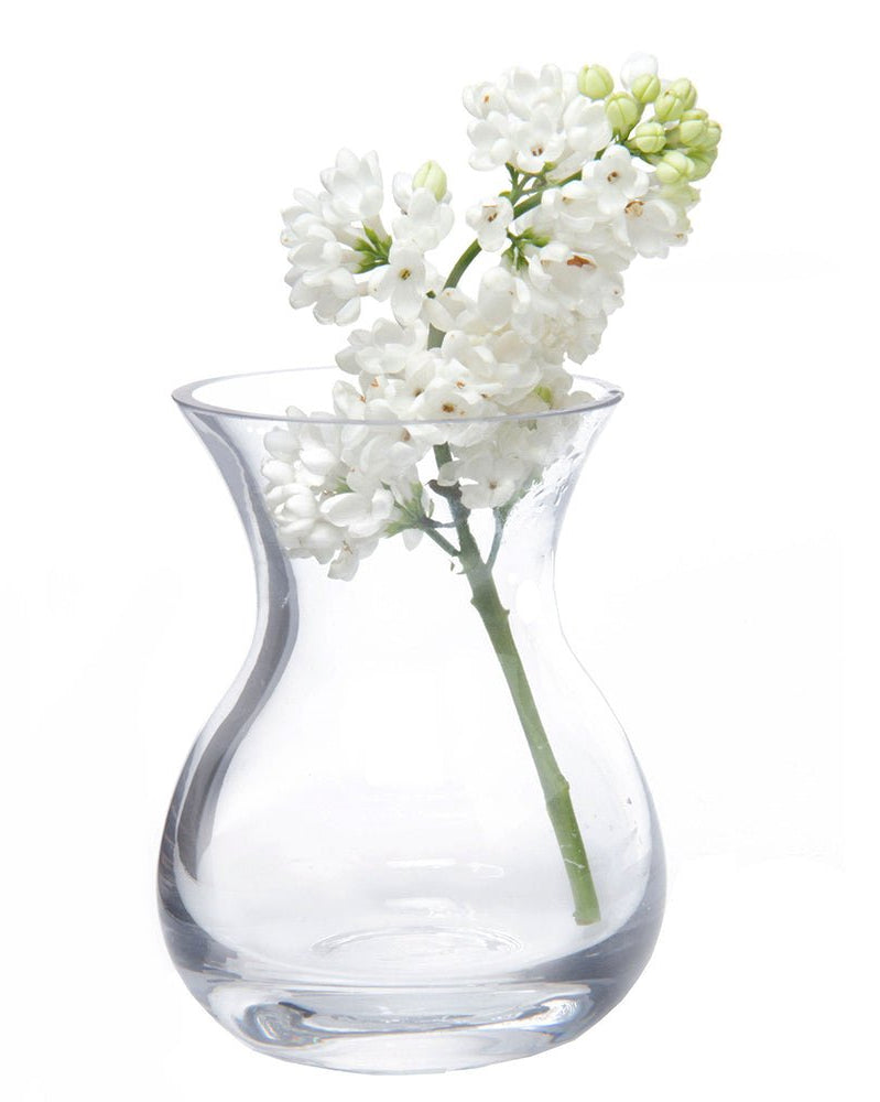 George Glass Clear Bud Vase Kit - Chive UK Wholesale
