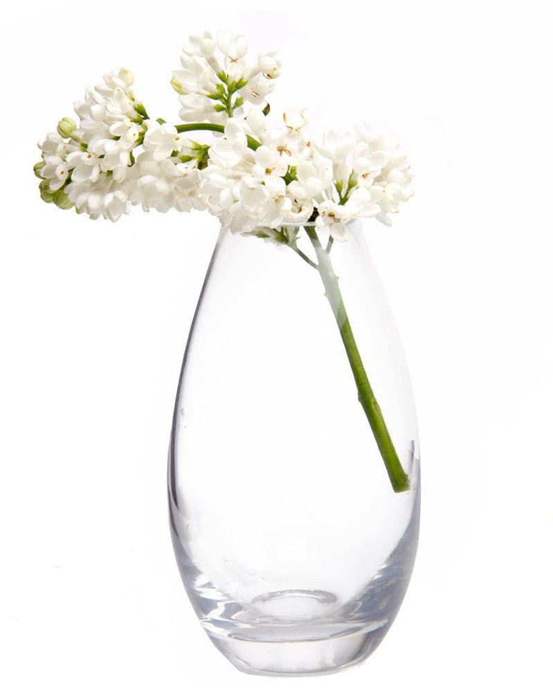 George Glass Clear Bud Vase Kit - Chive UK Wholesale