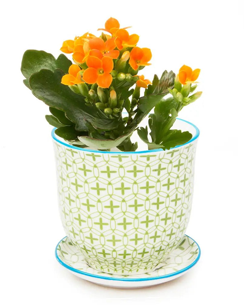 Liberte Porcelain Pot And Saucer Set With Drainage - Chive UK Wholesale