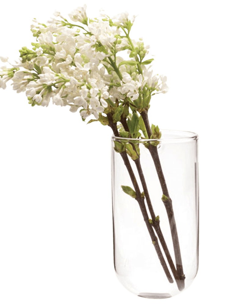 Wall Cup Glass Modern Clear Flower Vase - Chive UK Wholesale