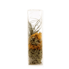 Cube Glass Modern Clear Flower Vase - Chive UK Wholesale