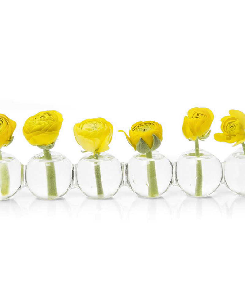 Caterpillar Glass Modern Clear Flower Vase - Chive UK Wholesale