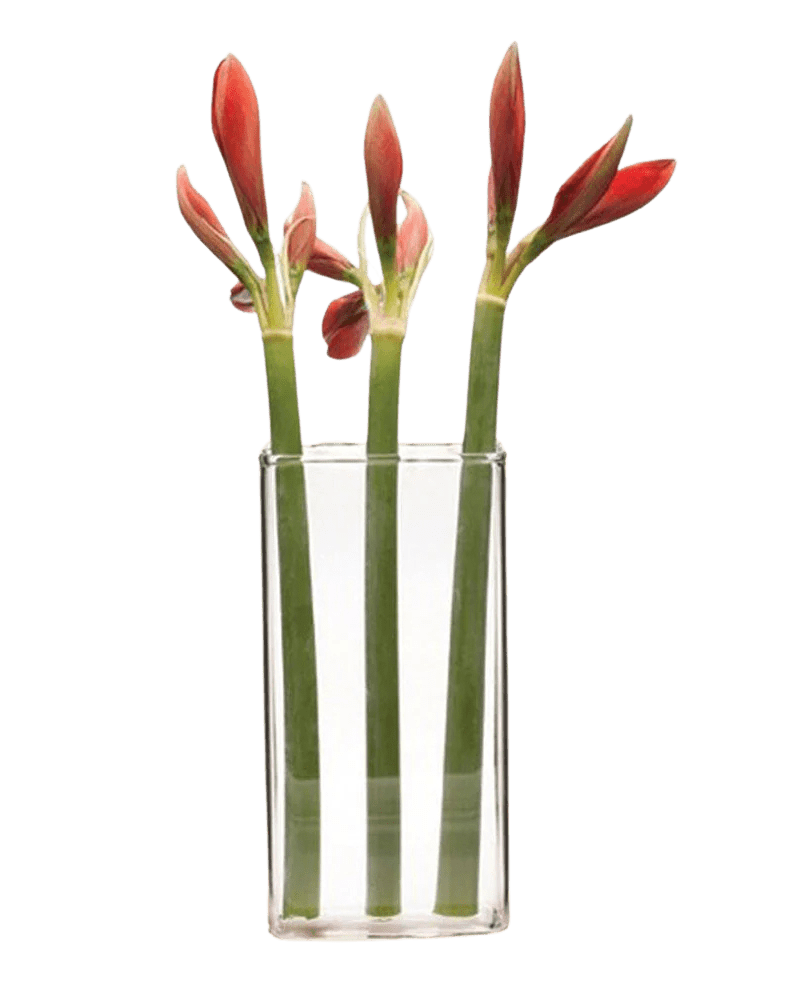 Wall Brick Glass Modern Clear Flower Vase - Chive UK Wholesale