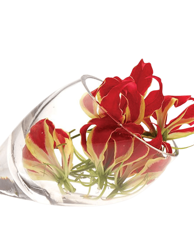 Lot Glass Modern Clear Flower Vase - Chive UK Wholesale